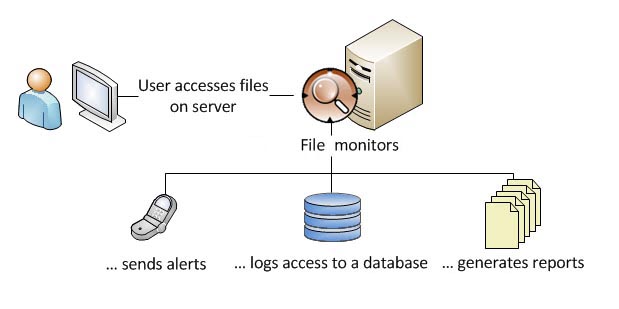 Server File Monitor System